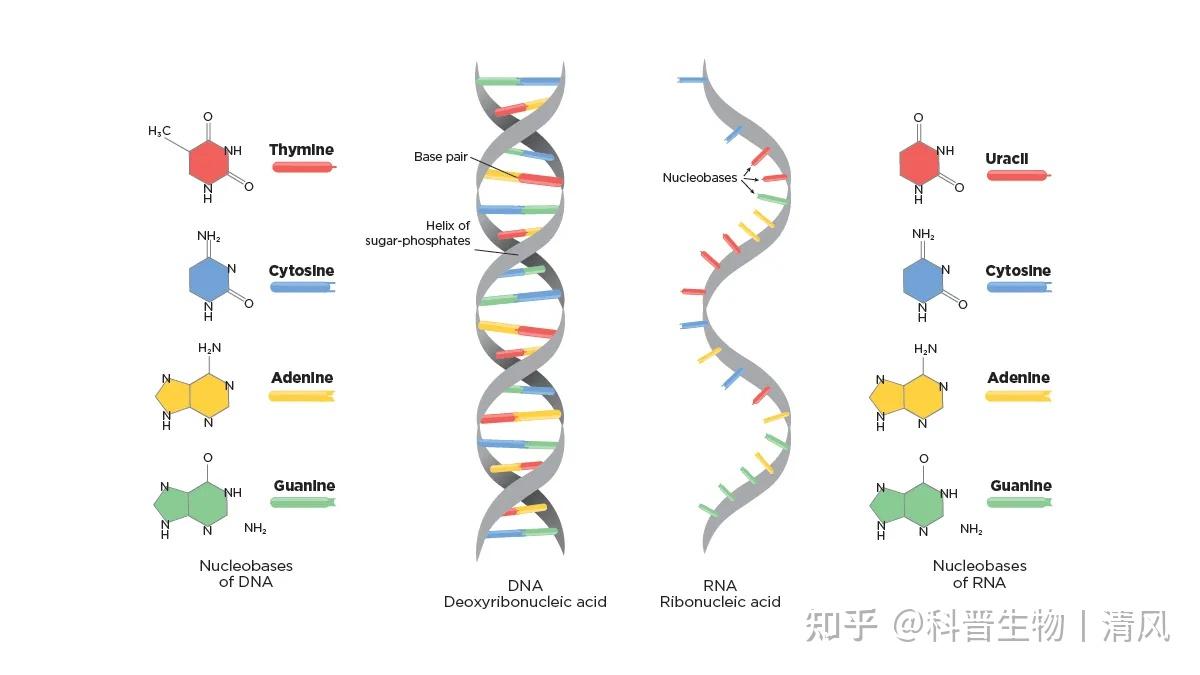 DNA 和 RNA 定量和质量指南 - 知乎