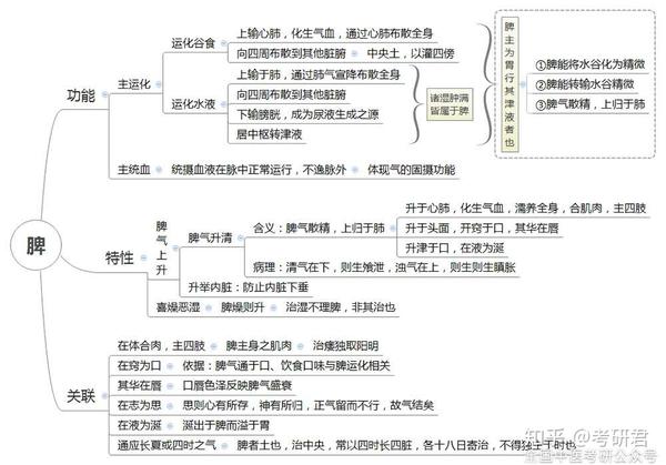 中医考研 20张超全思维导图