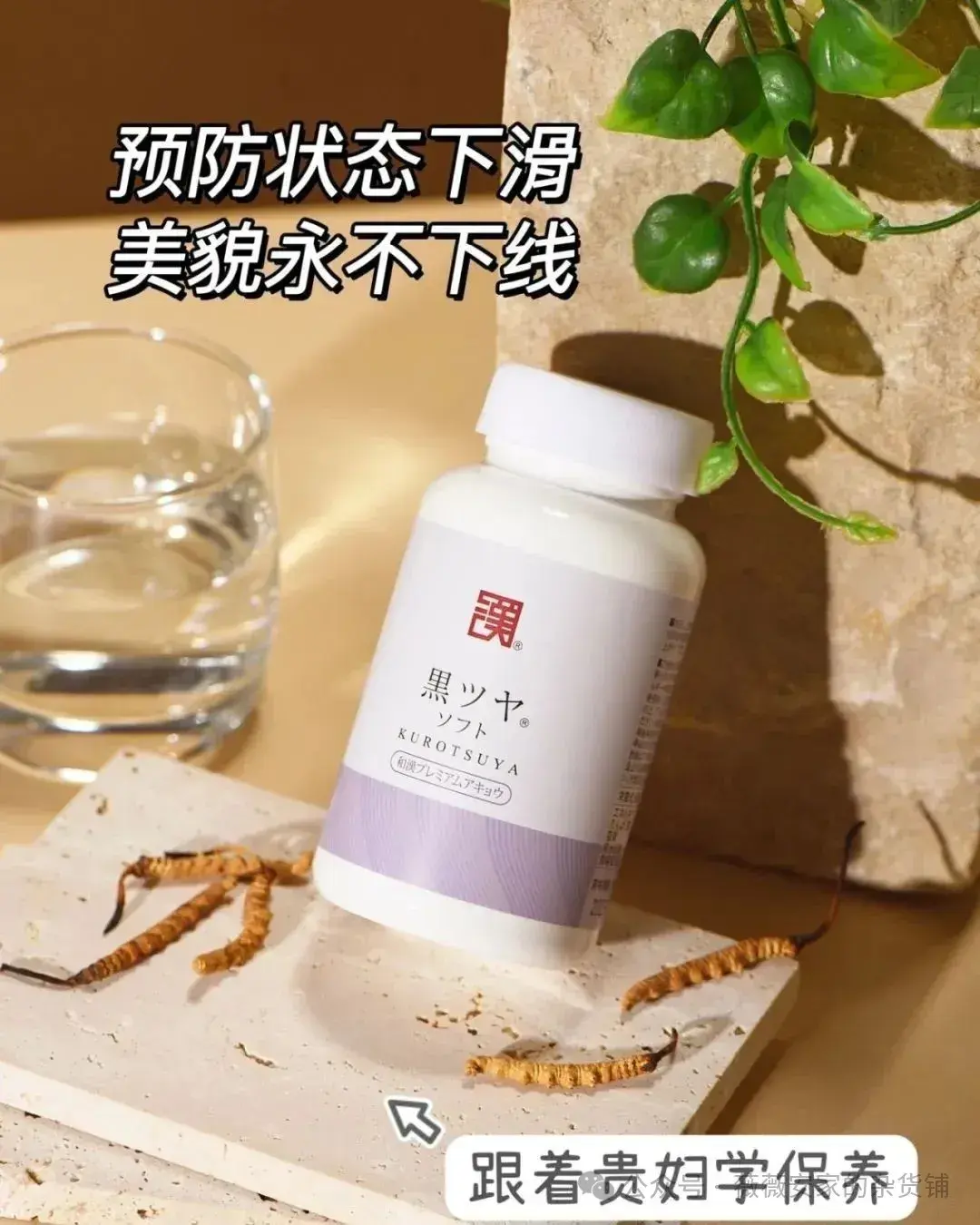 日本汉方中草药大集合