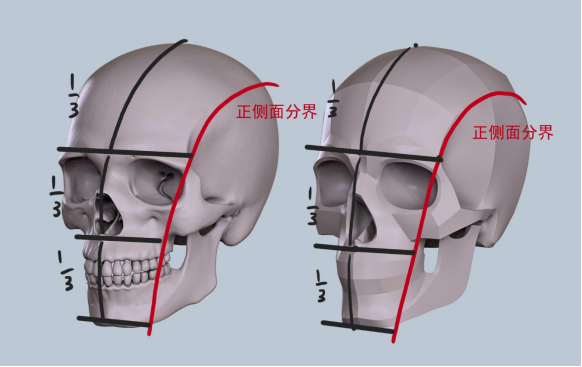 如图所示为头骨的正面和侧面的分界