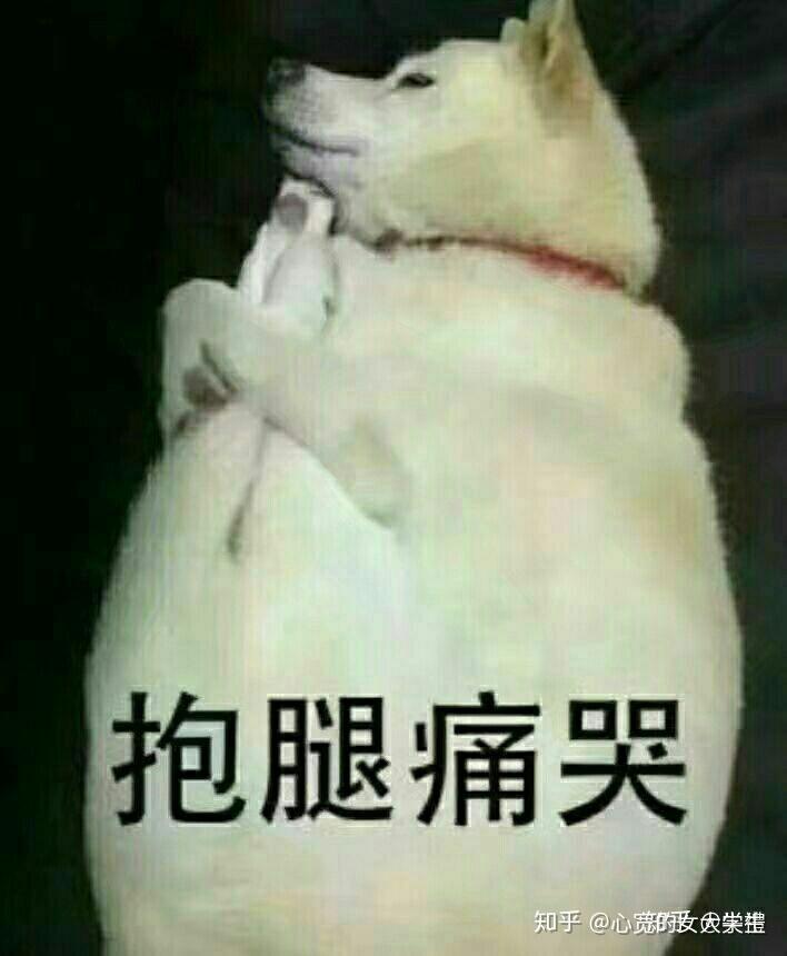 v2-6dd9a83d4cf081121ac2db6b1d0b68aa_r.jpg