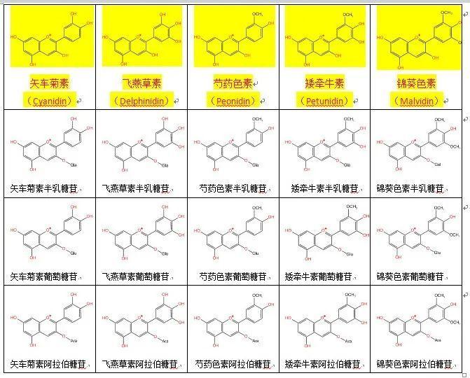 (矢车菊素,飞燕草素,芍药素,矮牵牛素,锦葵色素)和三种糖苷(半乳糖苷