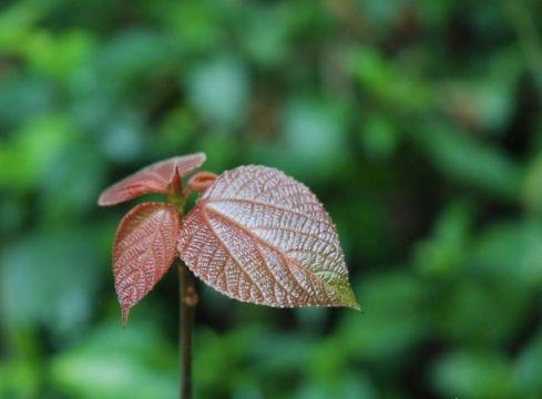 v2-6df82056e47a81f52d1e88ca6235fd6c_1440w.jpg?source=172ae18b