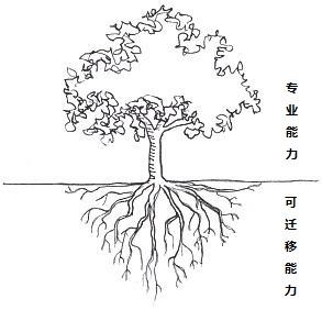 v2-6e19f235a1449cffc426aa0a2300edb6_b.jpg