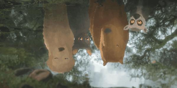 《猫猫的奇幻漂流》100%好评,2024神作,全片无台词的它凭什么?