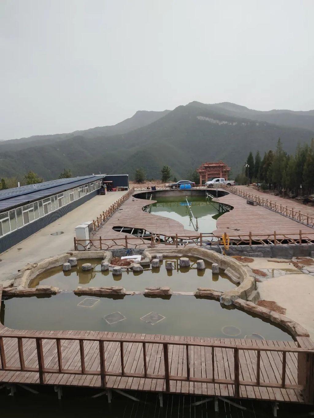 杨国华吕梁中阳县柏洼山前景堪忧