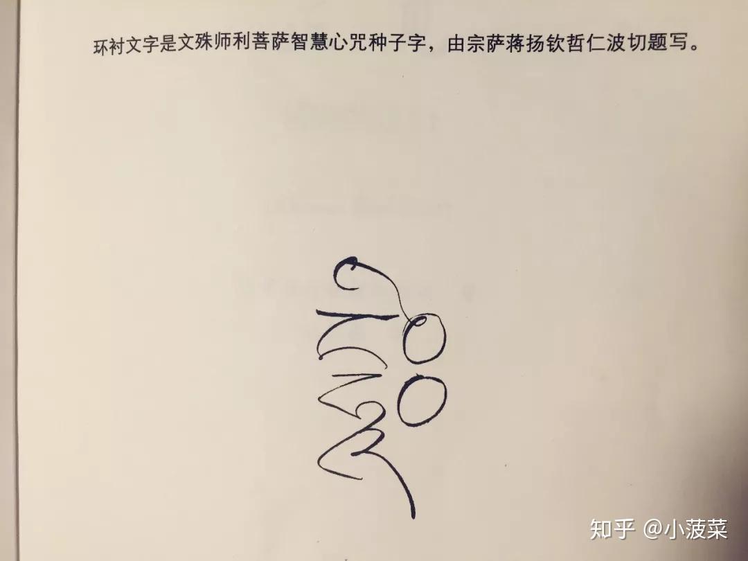 其实是一种字,由宗萨仁波切题写的环衬文字,也是文殊师利菩萨智慧心咒