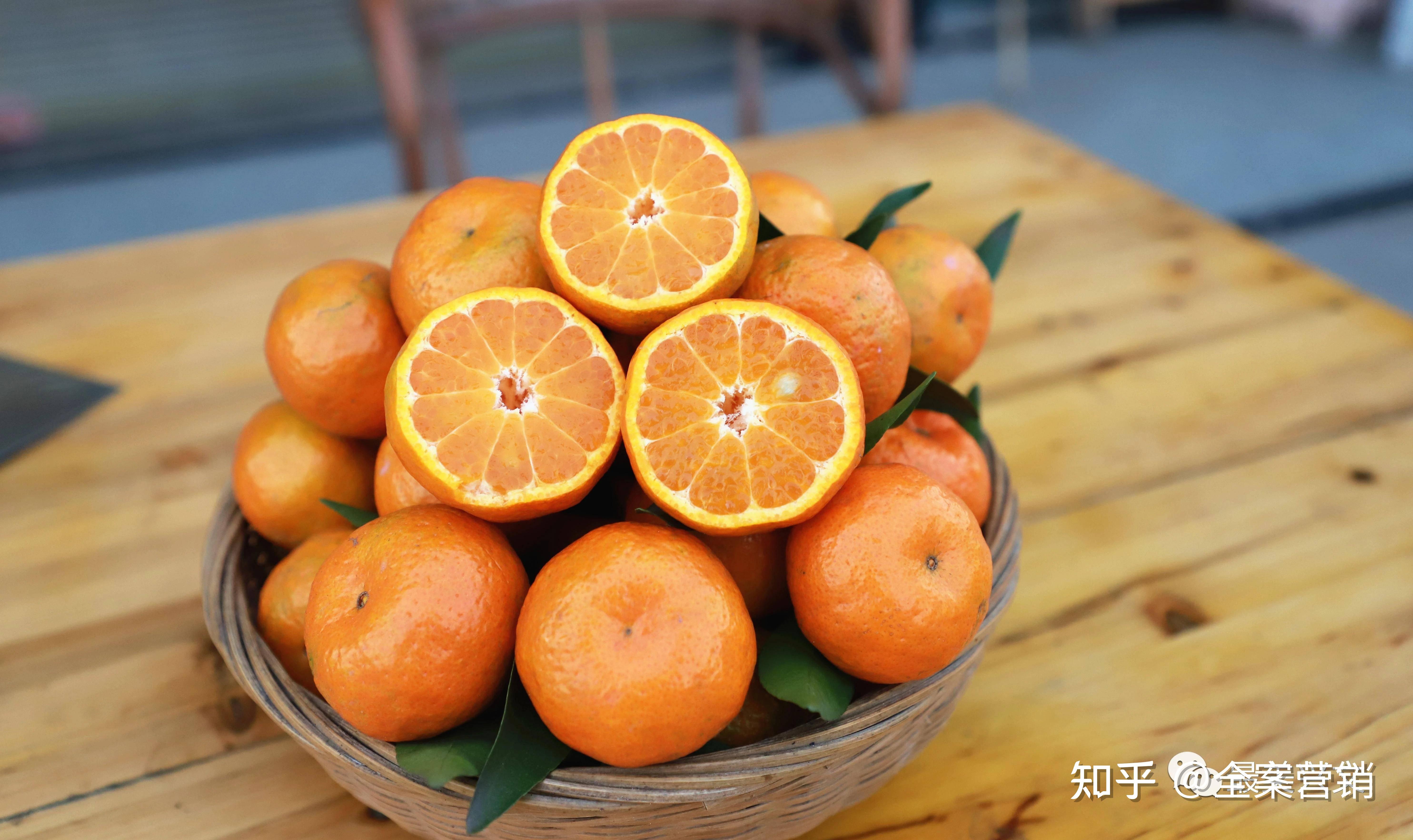 兴文石海僰王山兴文1200亩砂糖橘成熟啦还有700亩沃柑