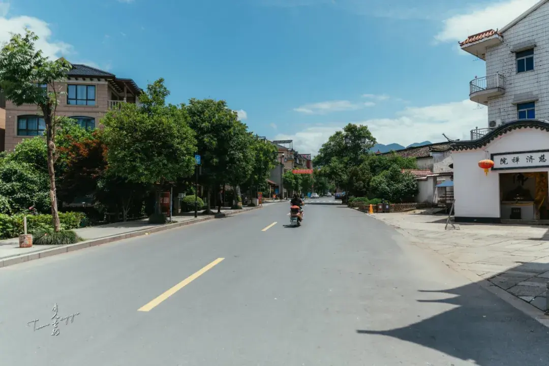 荻浦村历史悠久,文化底蕴丰厚,有省级文保单位3处(申屠氏宗祠,保庆堂