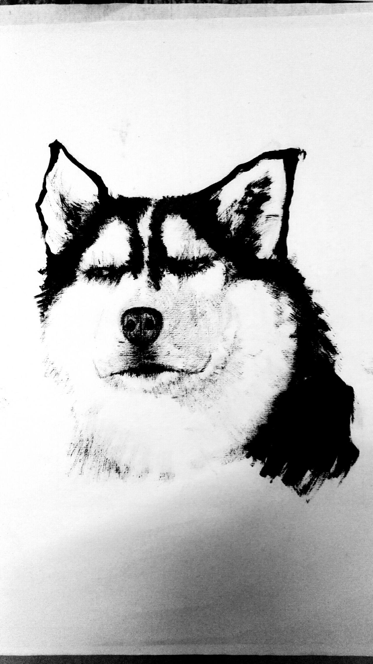 国画怎样画哈士奇