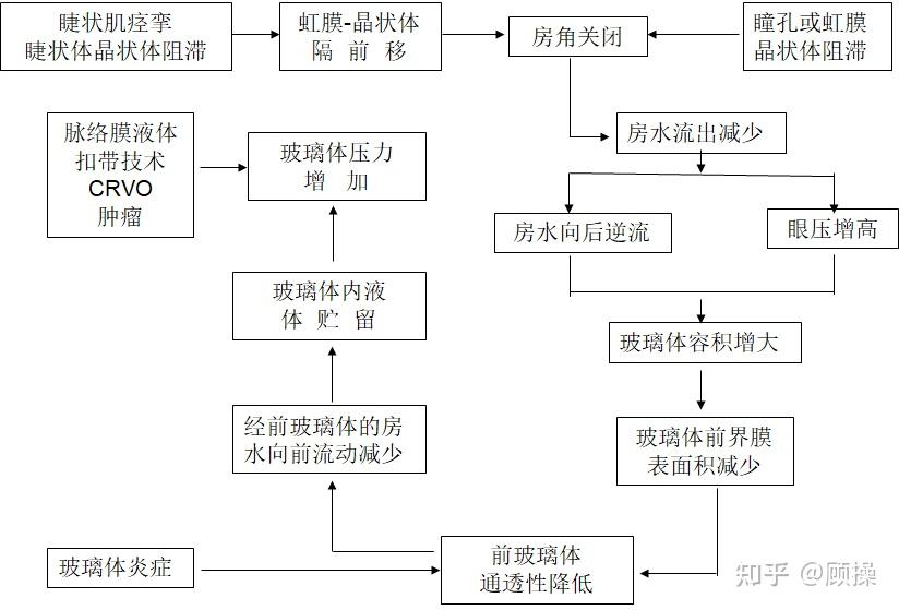 手術刺激睫狀體水腫,使睫狀體環縮小並與晶狀體赤道部緊貼;房水後瀦留