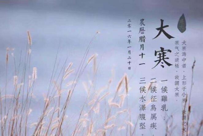 v2-6e5c8fd3df7d848a578b240eda36723e_1440w.jpg?source=172ae18b