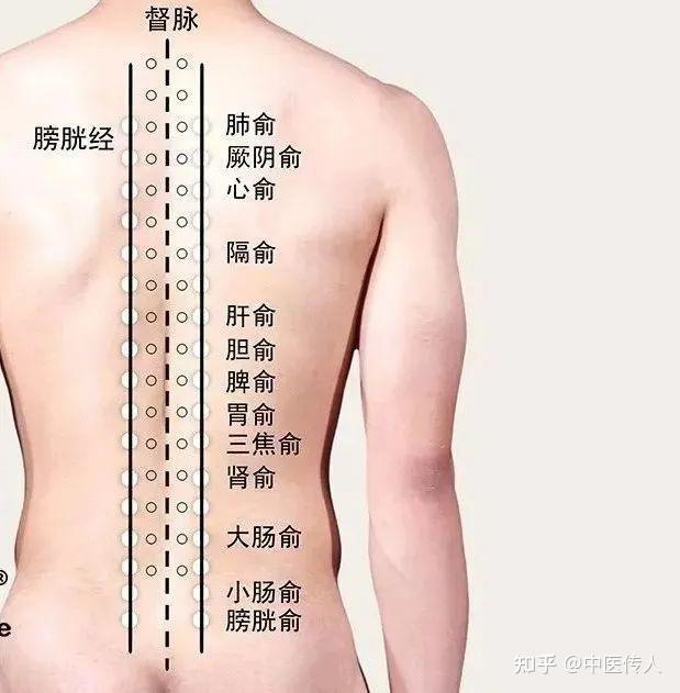 针灸治疗久咳不愈 - 知乎