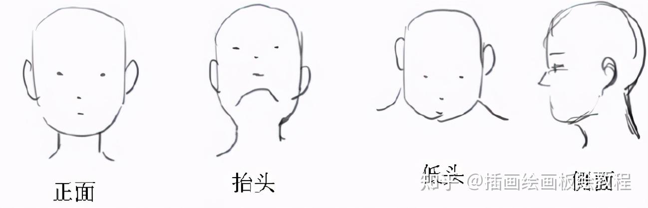 绘画教程怎么画出自然脖子新手正确绘制脖子及头部的画法教程
