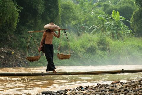 松茸多少钱一斤2021 v2-6e765e04a6f78ccb5f753a862f20fbae_180x120.jpg