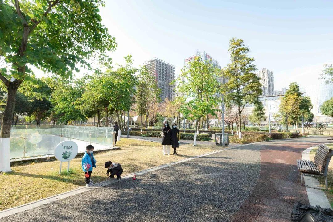 10个超宝藏成都公园,为你翻开一份「公园城市图鉴」 - 知乎