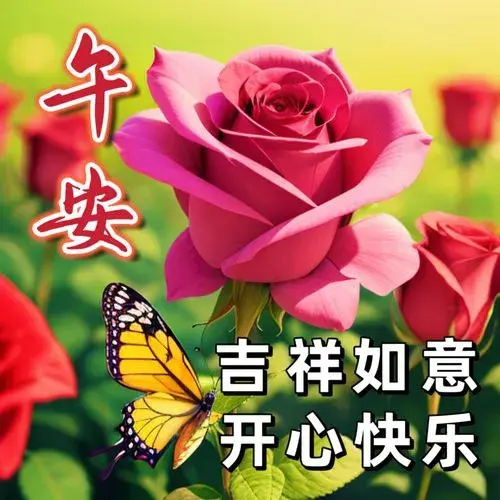 中午好图片，今日最新中午好图片大全，祝福美好 - 知乎