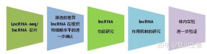 研究lncRNA的常见技术及原理 - 知乎