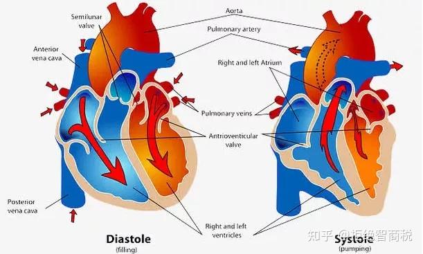 别看看完让你乖乖睡觉