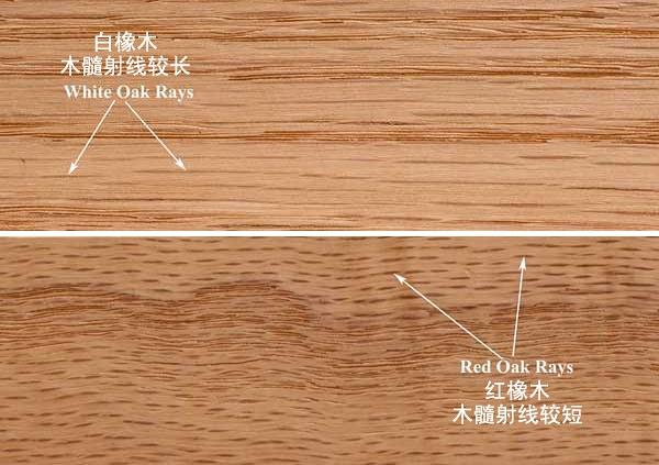 如何区分红橡与白橡 - 知乎
