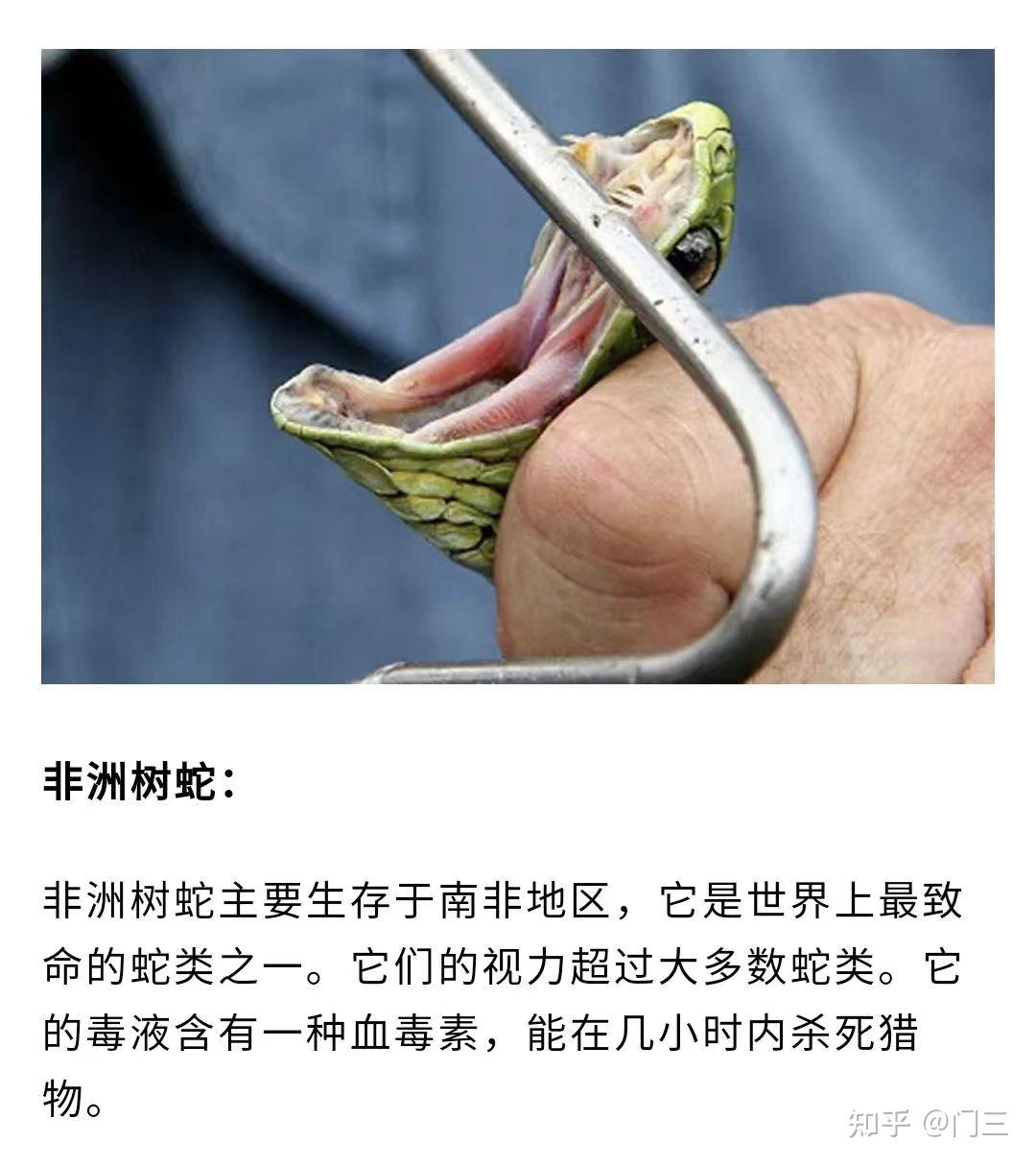 盘点自然界的十大毒物