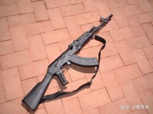 你的答案是:保加利亚的ar-m1或ak103.我的回答是:错了.