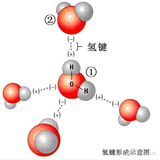 冰的晶体结构图图片