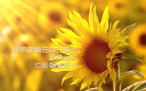 2019积极向上让你活力充沛