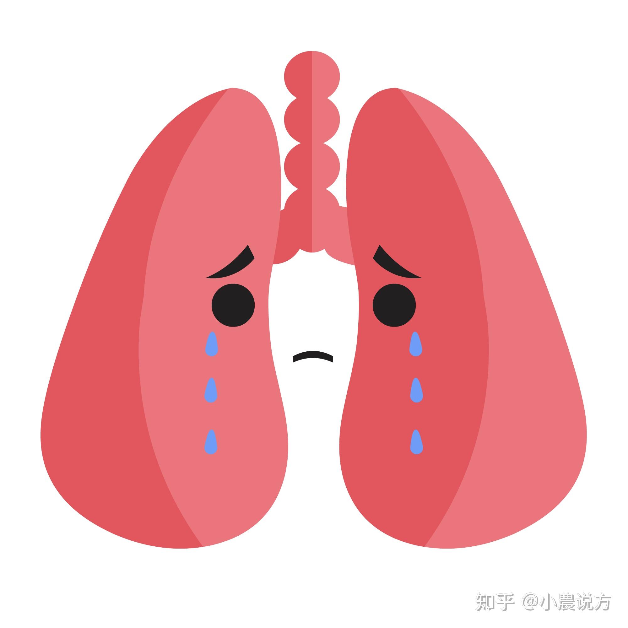 慢性咳嗽，也会是鼻子的问题_澎湃号·湃客_澎湃新闻-The Paper