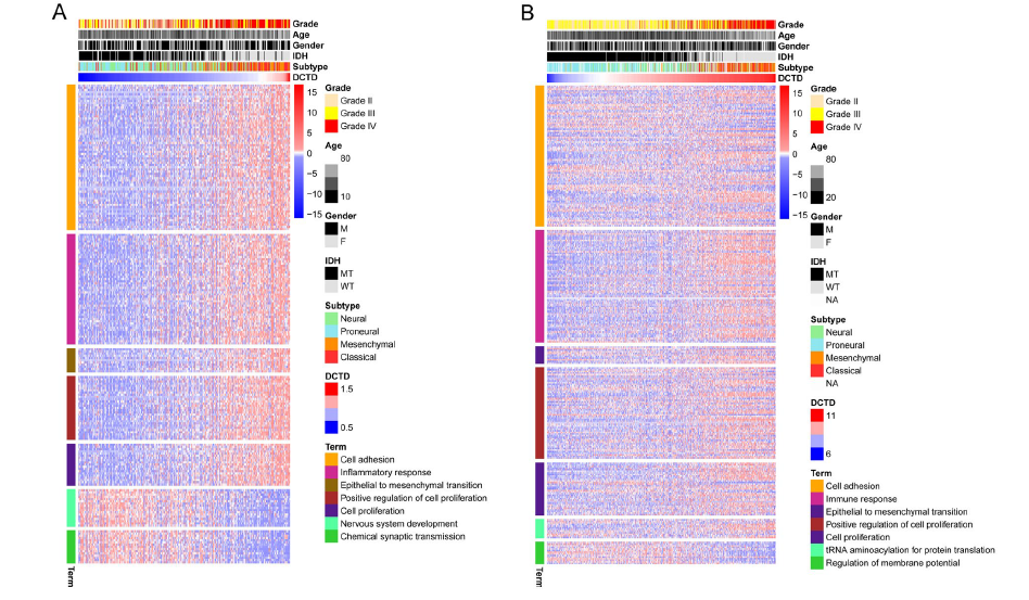 基因表达与甲基化表达谱纯生信分析4分文章你也可以