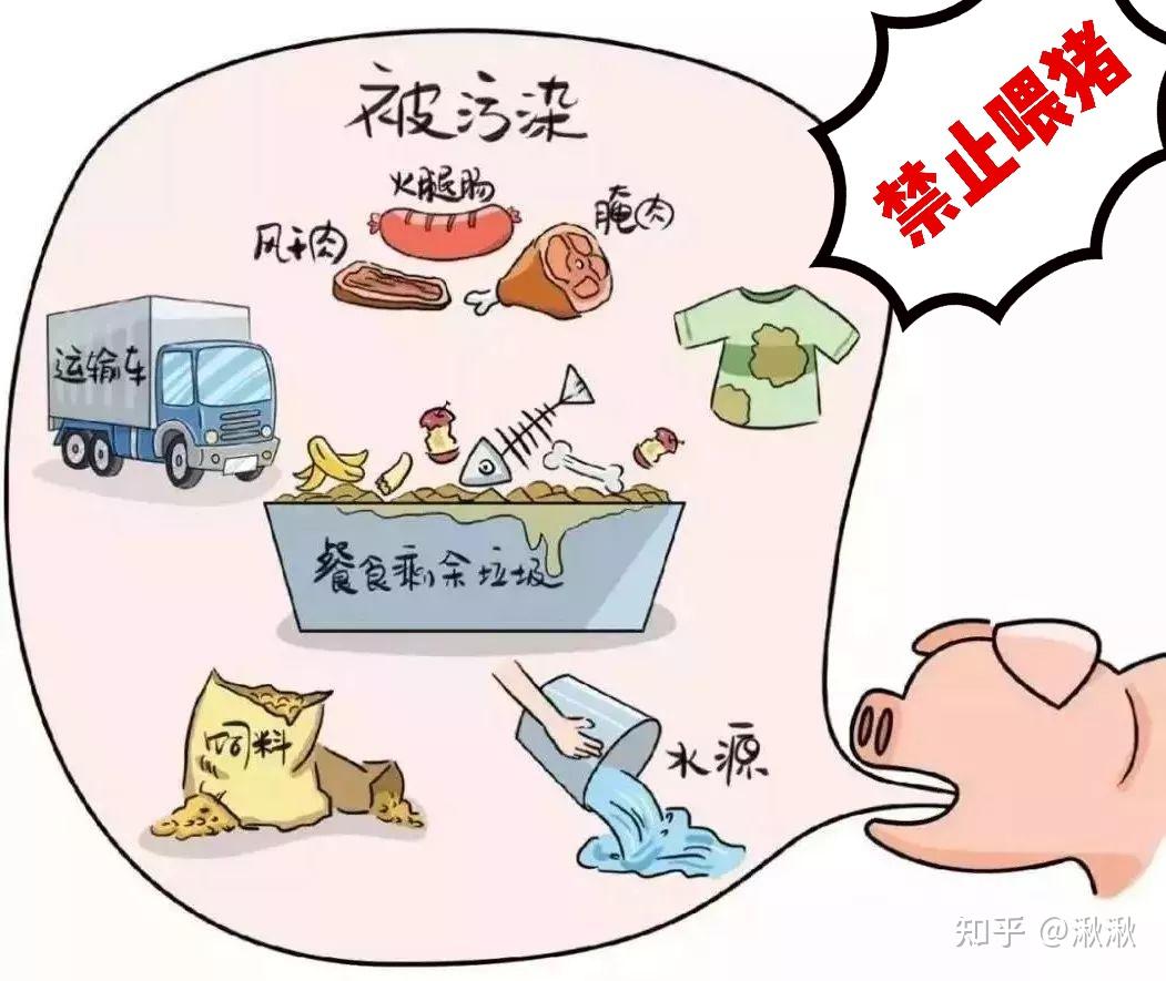 餐厨/厨余垃圾特性及危害 - 知乎