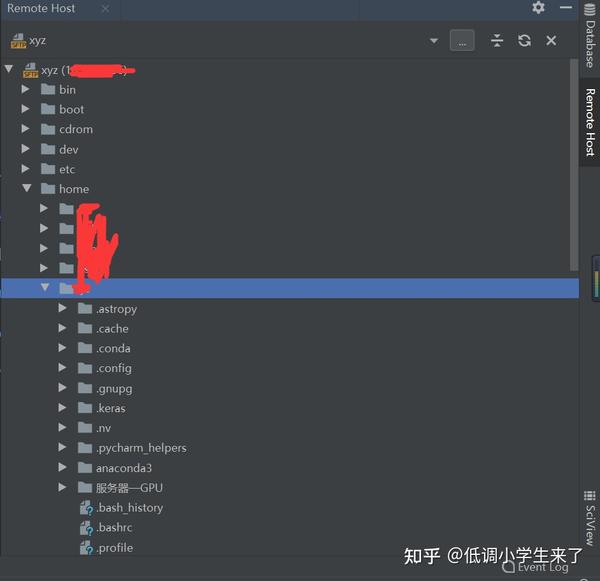Pycharm python r 