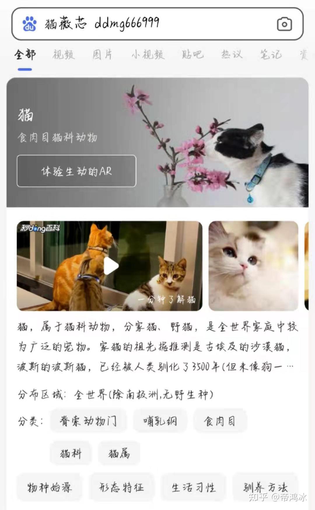 v2-6ec51d10df50d4ac38e4d16abf072abe_r.jpg