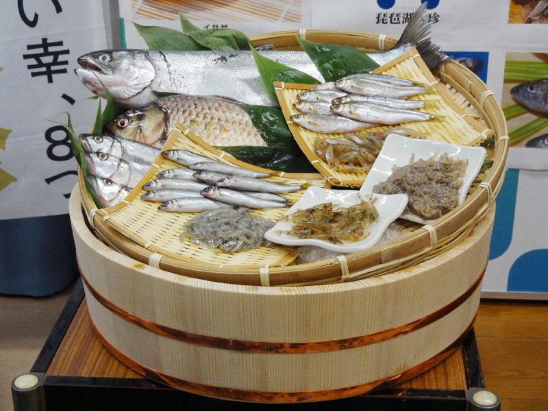 琵琶湖八珍介绍 知乎 琵琶湖八珍介绍 知乎