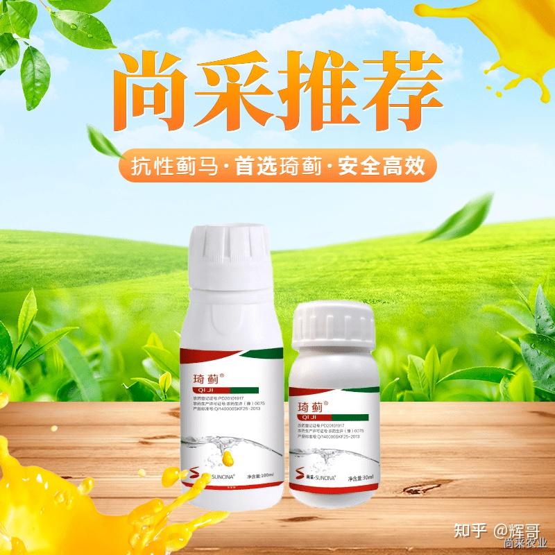 一箱大瓶的琦蓟多少钱一文帮你了解琦蓟剂量以及价格