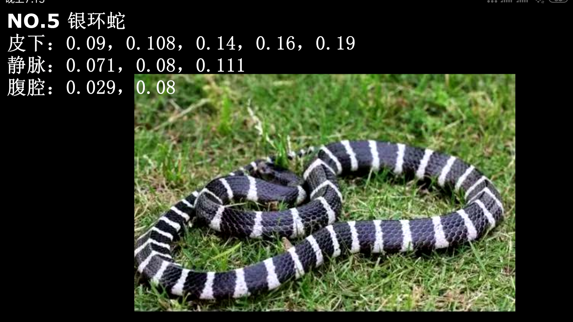 毒蛇图片素材-编号13760181-图行天下