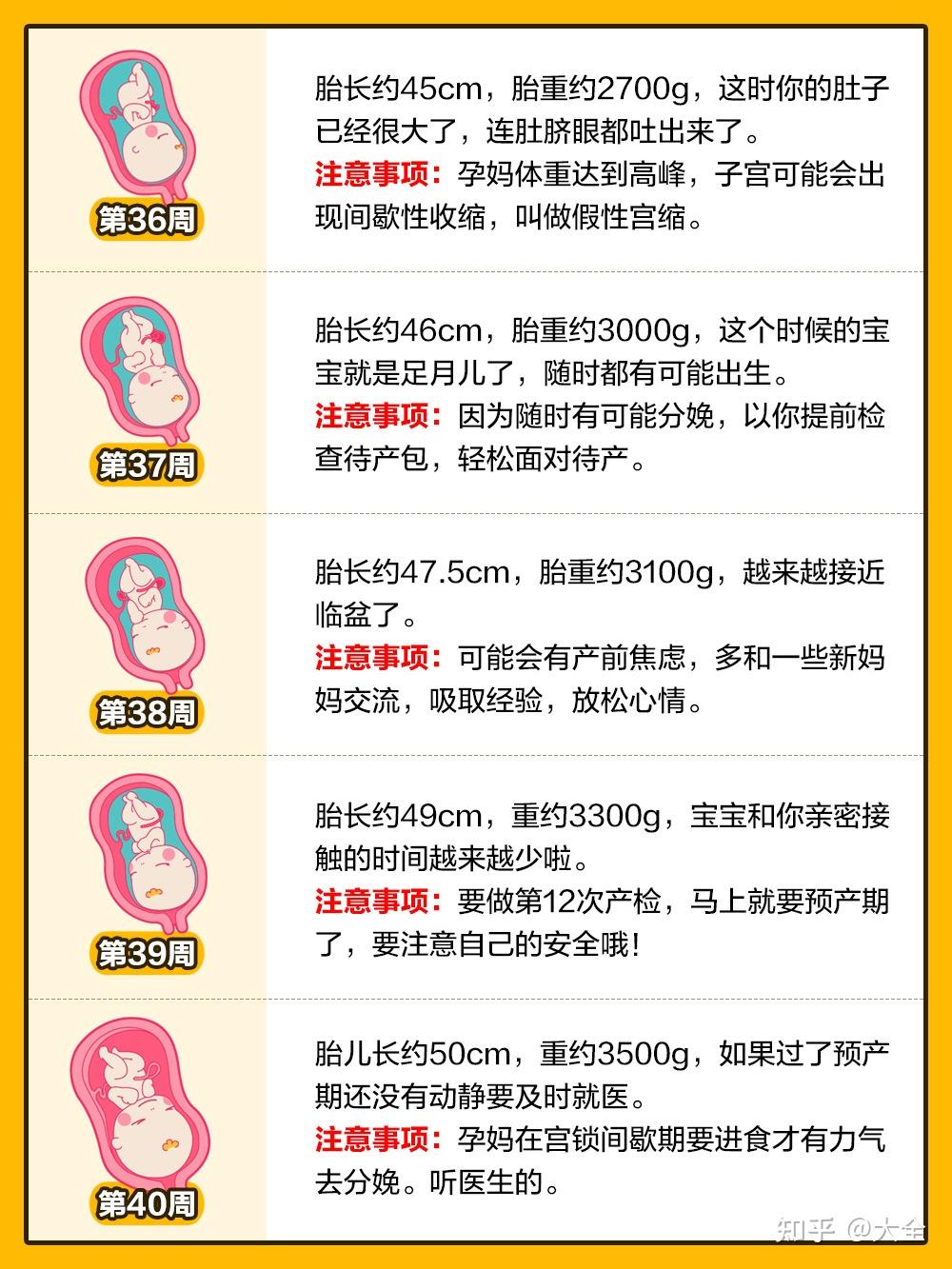 孕期1-40周|胎儿发育全过程变化和B超单解读! - 知乎