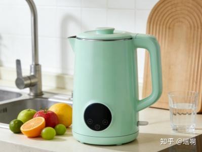 养生壶测评饮水攻略:宫菱、西屋、奥克斯等电热水壶哪个品牌好?十大养生壶推荐2025排行,租房实用款推荐!
