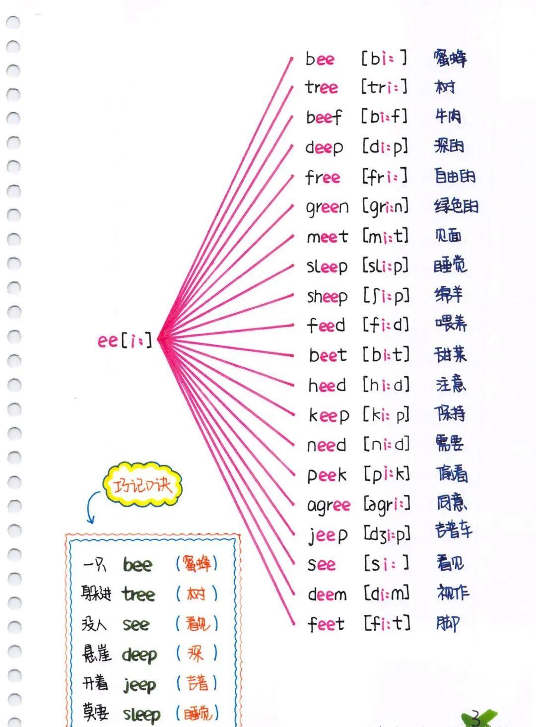 超赞音标自然拼读彩绘思维导图让你一目了然可打印