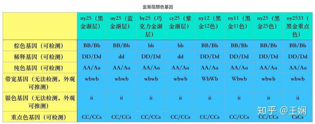 金渐层配种配色表图片