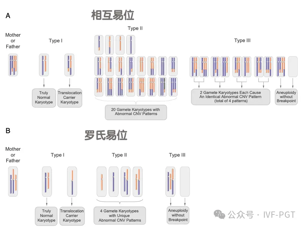 辅助生殖(三代试管 PGT-SR)|染色体平衡易位携带可获得完全正常胚胎 - 知乎