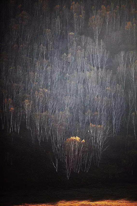 干货丨用好了点构图照片才更有味道