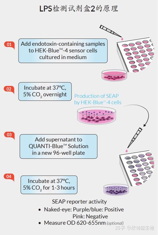 内毒素污染及检测方法试剂