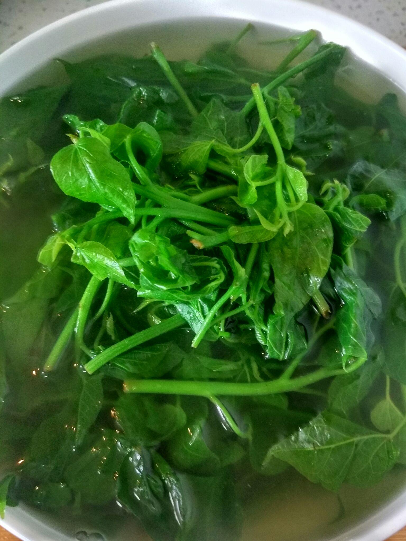 云星菜 知乎