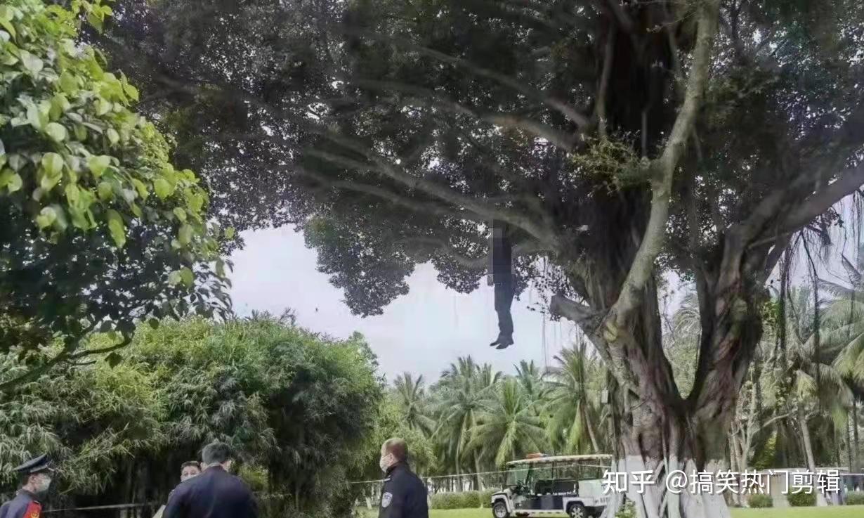 海口万绿园内一男子上吊自杀身亡,离世者的遗言让人泪目 - 知乎