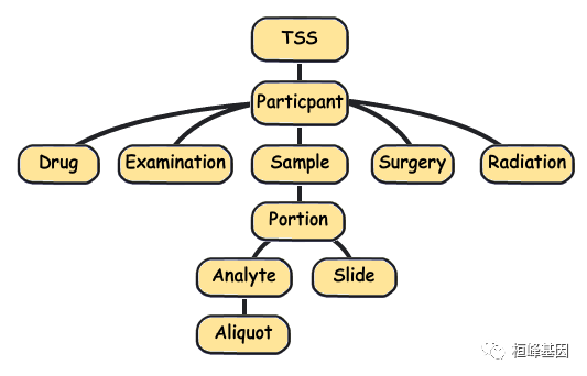 TCGA 概述及 Barcode 详解 - 知乎
