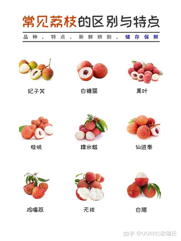 【荔枝季】常见荔枝品种排名!附 - 知乎