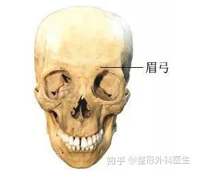 眉弓是哪里 什么样的人需要垫眉弓 知乎