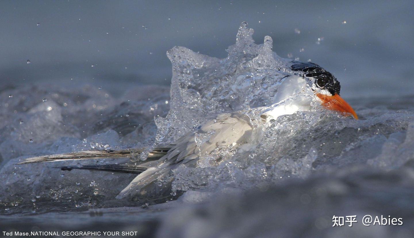 卡尔维诺《看不见的城市》摘抄- 知乎