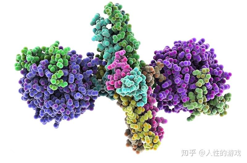 新型冠状病毒153淋巴液纤维蛋白原胶原纤维